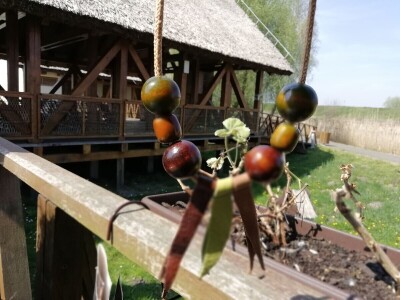 Unikatni nakit Vranješ