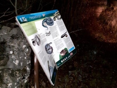 Uništavanje imovine