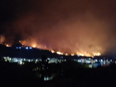 Uništena stoljetna šuma Uništena stoljetna šuma