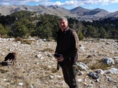 Uništena stoljetna šuma Uništena stoljetna šuma