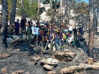 Uništena stoljetna šuma Uništena stoljetna šuma