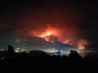 Uništena stoljetna šuma Uništena stoljetna šuma