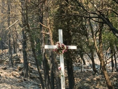 Uništena stoljetna šuma