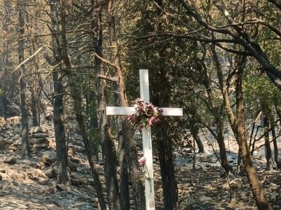 Uništena stoljetna šuma Uništena stoljetna šuma