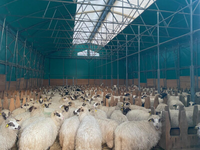 OPK Kučan Aleksinica