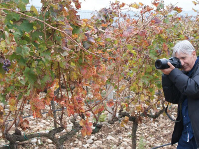 Arif Sitnica, foto: Roberta Kljenak