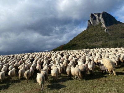 OPK Kučan Aleksinica