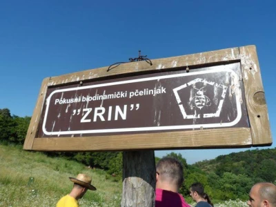 PZ Zrin