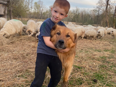 OPK Kučan Aleksinica