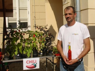 OPG  Ćurić