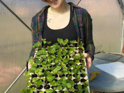 Supruga Bojana Jurića Supruga Bojana Jurića