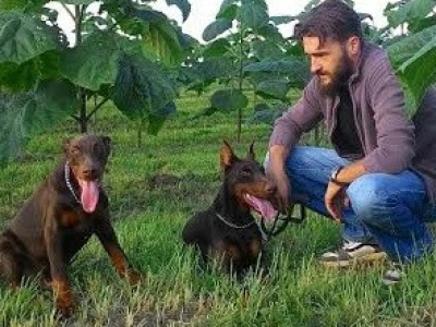 Bojan Jurić nakon napornog radnog dana