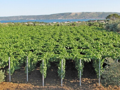 Izvor fotografije: Ivica Milan WEB arhiva Izvor fotografije: Ivica Milan WEB arhiva