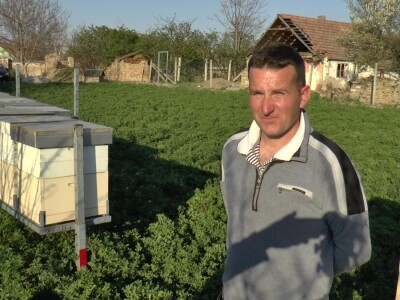 Uprkos alergiji, zavoleo pčele i pčelarenje