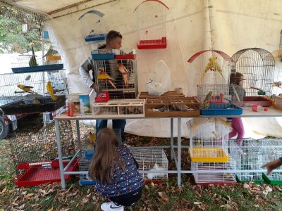 Uprkos koroni, uspješna godina za uzgajivače sitnih životinja