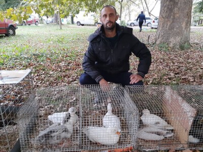 Uprkos koroni, uspješna godina za uzgajivače sitnih životinja