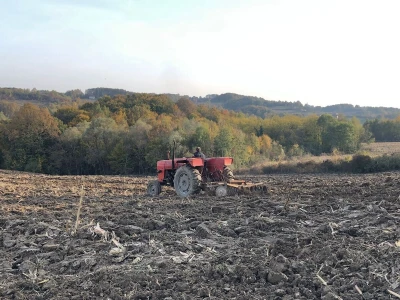 Uprkos nedaćama Brkovići nastavili dalje i danas svega imaju na imanju