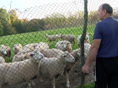 Uprkos nedaćama Brkovići nastavili dalje i danas svega imaju na imanju Uprkos nedaćama Brkovići nastavili dalje i danas svega imaju na imanju