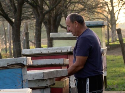 Uprkos nedaćama Brkovići nastavili dalje i danas svega imaju na imanju Uprkos nedaćama Brkovići nastavili dalje i danas svega imaju na imanju