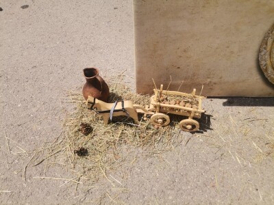 Urban Agri fest u Kampusu UNSA