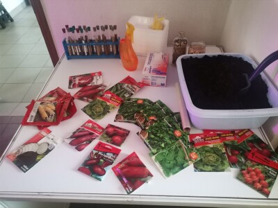 Urban Agri fest u Kampusu UNSA