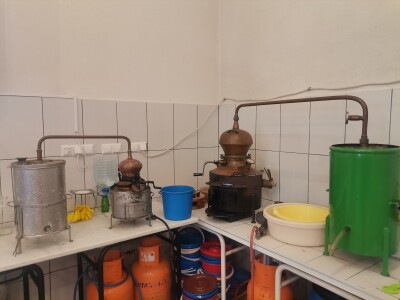 Urban Agri fest u Kampusu UNSA