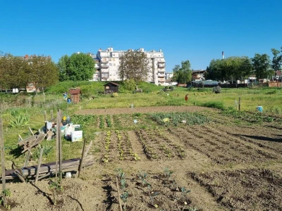 Urbani vrtovi