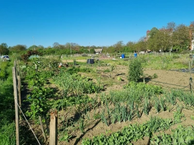Urbani vrtovi