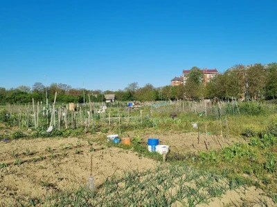 Urbani vrtovi