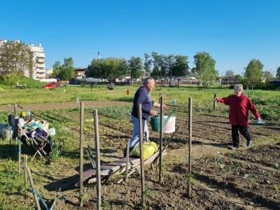 Urbani vrtovi