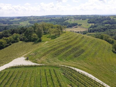 Urbanovo - Festival pušipela