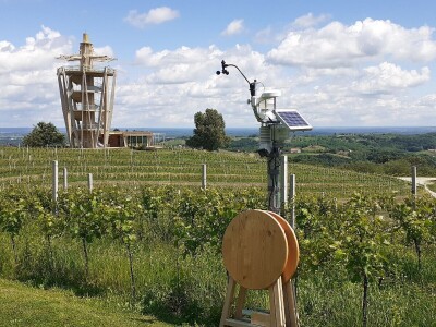 Urbanovo - Festival pušipela