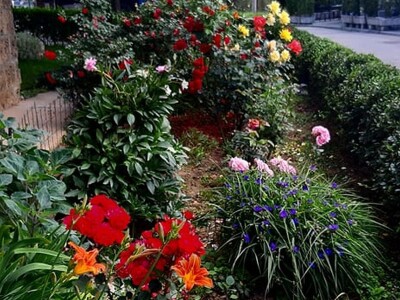 Uređenje vrta oko zgrade