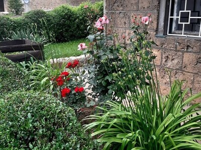 Uređenje vrta oko zgrade