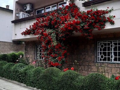 Uređenje vrta oko zgrade