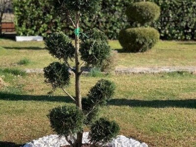 Uređenje vrtova Posušje Uređenje vrtova Posušje