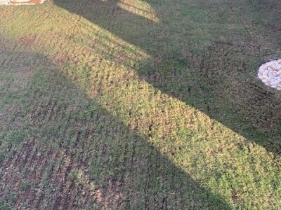 Uređenje vrtova Posušje Uređenje vrtova Posušje