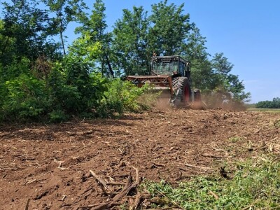 Uređenje zapuštenog zemljišta