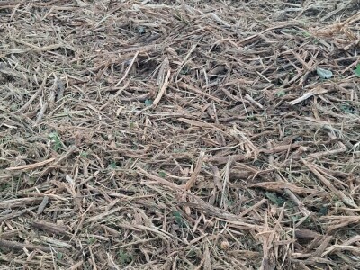 Uređenje zapuštenog zemljišta