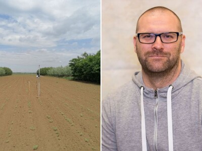 Može li nas agrošumarstvo spasiti od klimatskih promjena?