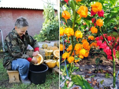 OPG Preložnjak Nedelišće