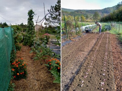 SOPG Maja Degmečić - "no dig" princip