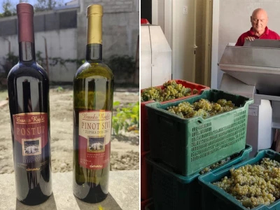 Nova vinarija