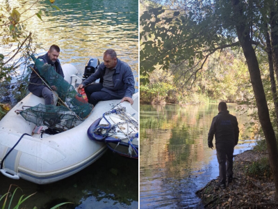 Čišćenje rijeke Cetine od vrša Čišćenje rijeke Cetine od vrša