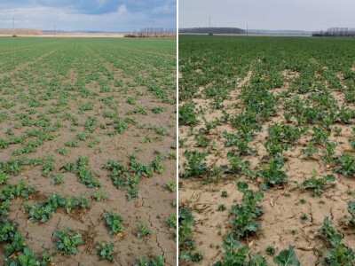 OPG Škrnički i Timac Agro u Breziku