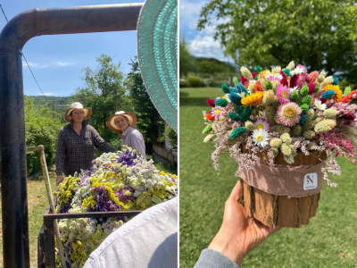 OPG Novosel Gornja Stubica