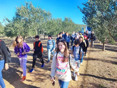 OPG Uroda: Na brdu iznad Pirovca podigao maslinarsku atrakciju