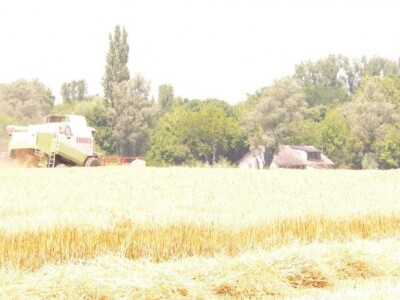 Na zemlji se bave ekološkom proizvodnjom Na zemlji se bave ekološkom proizvodnjom