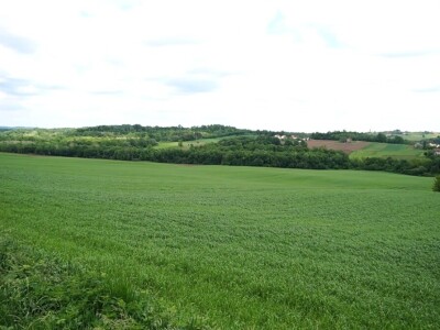 Stigla i četvrta generacija Jokića: Cijelo domaćinstvo decenijama u stočarstvu