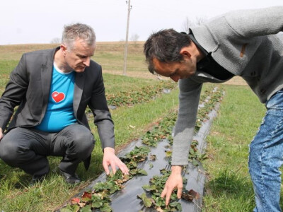 Jerko-Ivankovic-Lijanovic